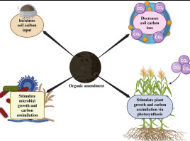 Carbon sequestration thumbnail